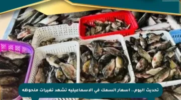 تحديث اليوم.. أسعار السمك في الإسماعيلية تشهد تغيرات ملحوظة